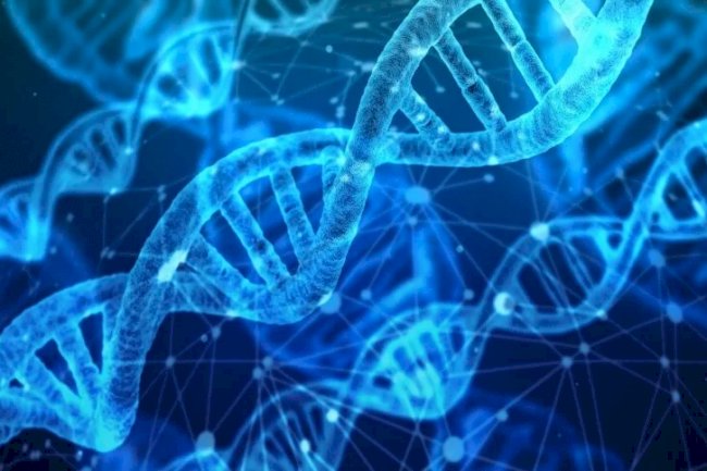 Biotecnologia aumenta a produtividade das culturas