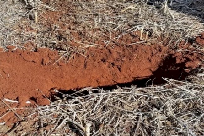 Experiências de conservação do solo e da água são demonstradas