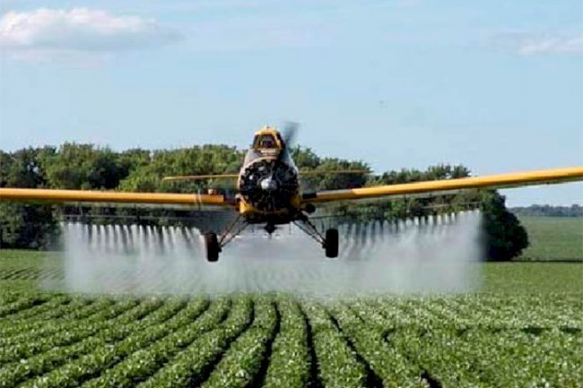 Por que usar defensivos agrícolas? São seguros?
