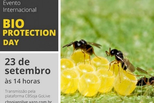 Bioinsumos é tema de evento no Dia da Bioproteção