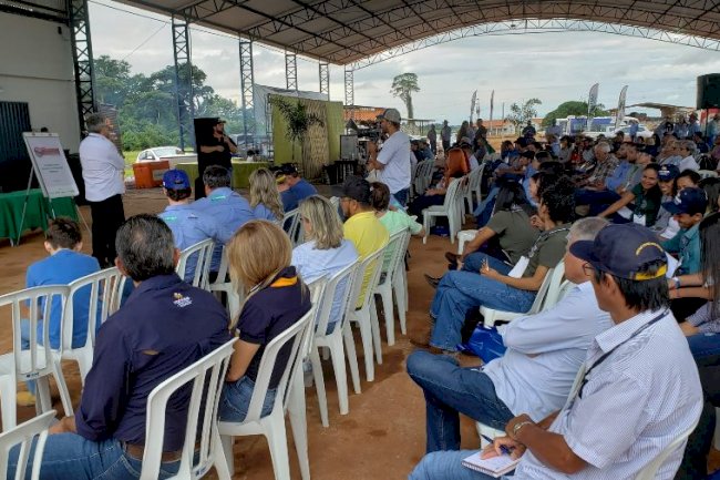 Embrapa disponibiliza palestras de dia de campo sobre ILP em Mato Grosso