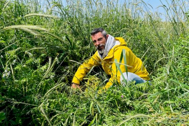SPD em Santa Catarina: distância dos fundamentos do sistema é distanciamento de uma agricultura mais sustentável 
