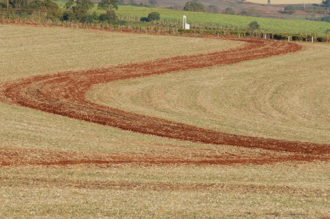 Técnico do IDR-Paraná publica artigo que propõe aprimorar o conceito de plantio direto