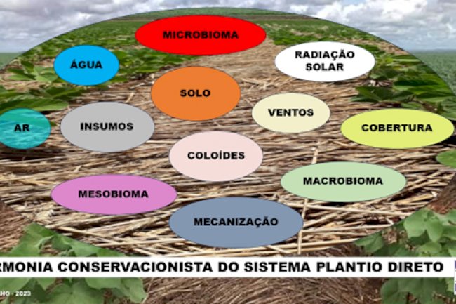 A harmonia conservacionista do Sistema Plantio Direto 