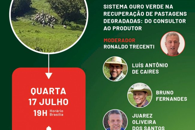 Live: Sistema Ouro Verde de recuperação de pastagens degradadas 