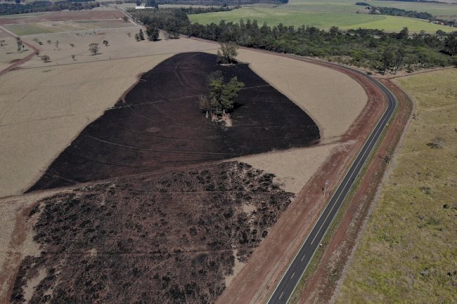 Queimadas diminuem qualidade do solo e aumentam custos da produção