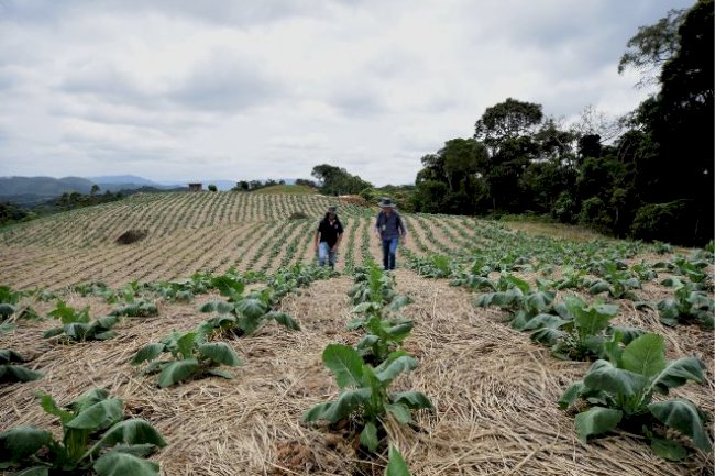 Epagri completa 33 anos com foco na sustentabilidade