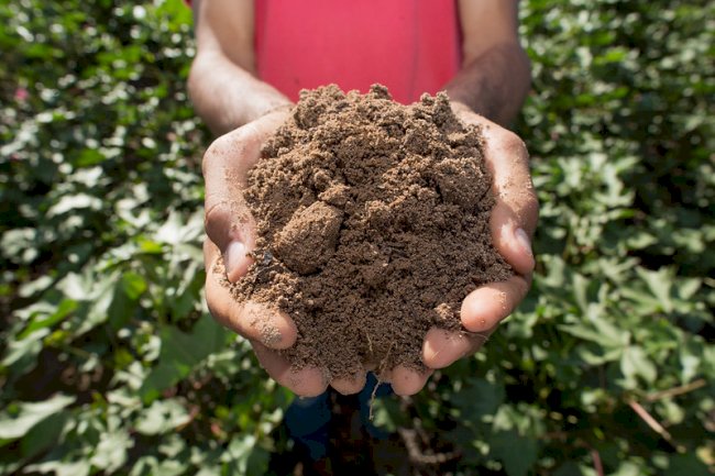 Produção de bioinsumos on-farm