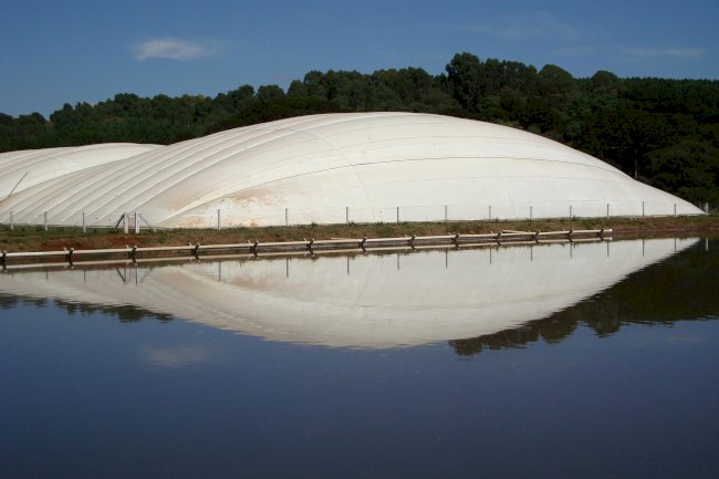 FEBRAPDP e Portal Energia e Biogás unem forças para promover sustentabilidade no Agronegócio