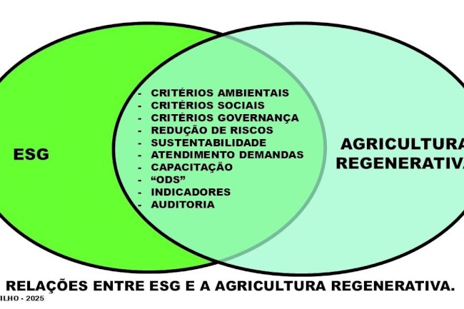 Relações entre ESG e agricultura regenerativa