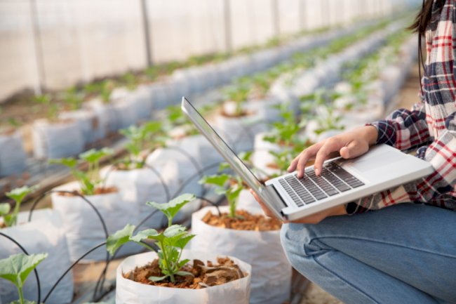 Pesquisa aponta fatores-chave para ampliar a agricultura 4.0 no Brasil
