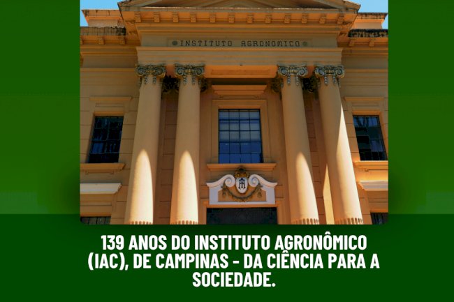 139 anos do IAC é tema da Live ILPF desta semana