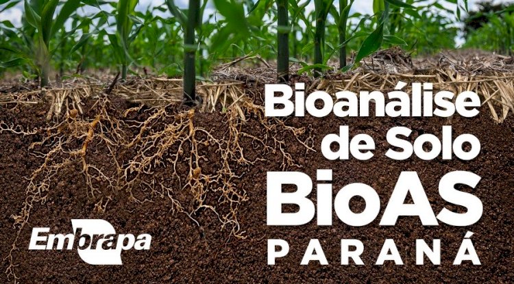 Tecnologia de bioanálise de solo é ampliada para o Paraná - FEBRAPDP