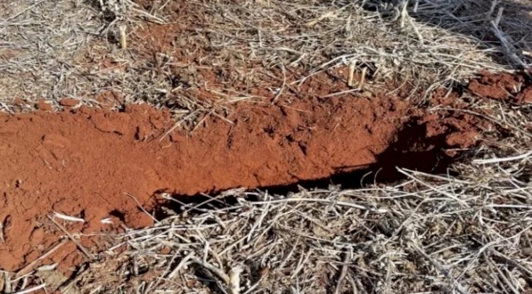 Experiências de conservação do solo e da água são demonstradas