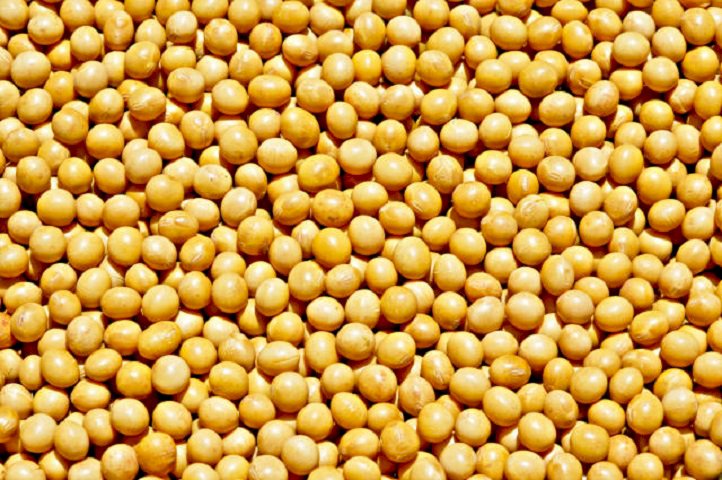 Aplicativo orienta produtor de soja a enfrentar escassez de fertilizantes
