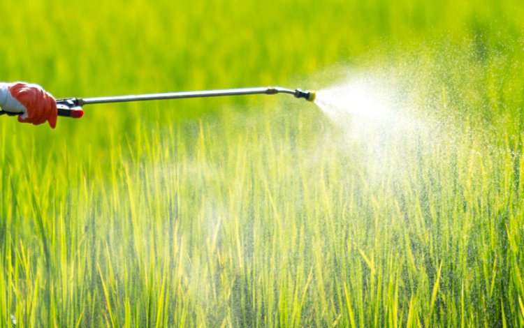 A diferença entre perigo e risco de pesticidas