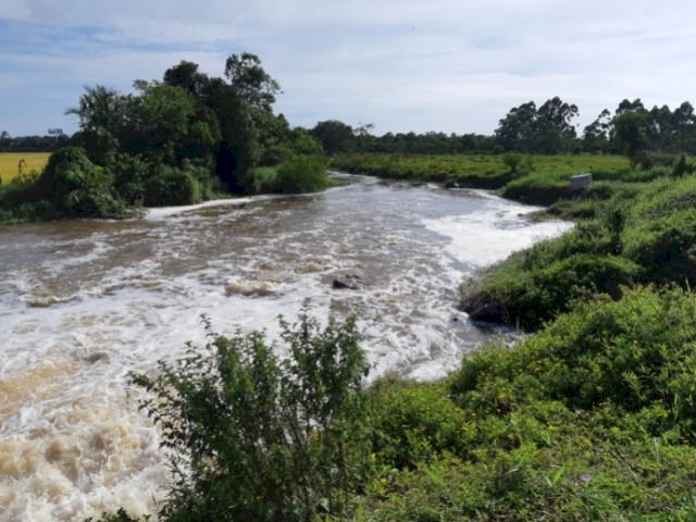 Epagri e Casan se unem para “cultivar água” na bacia do rio Piçarras, em SC