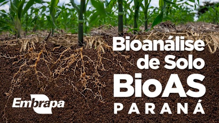 Tecnologia de bioanálise de solo é ampliada para o Paraná