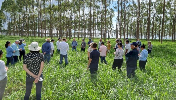 Embrapa mostra tecnologias de produção sustentáveis para diplomatas de dez países em visita ao Mato Grosso