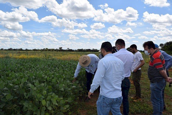 Técnicos do MME e dirigentes da Aprosoja Brasil conhecem pesquisa sobre remineralizadores de solo
