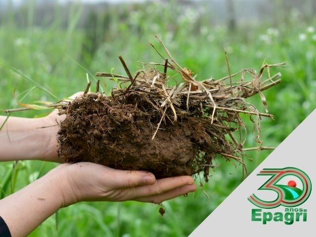 Epagri chega aos 30 anos ensinando a produzir e preservar o solo