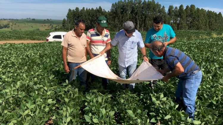 IDR-Paraná e Embrapa Soja apresentam resultados da adoção de boas práticas na produção da soja e inicia o Alerta Ferrugem