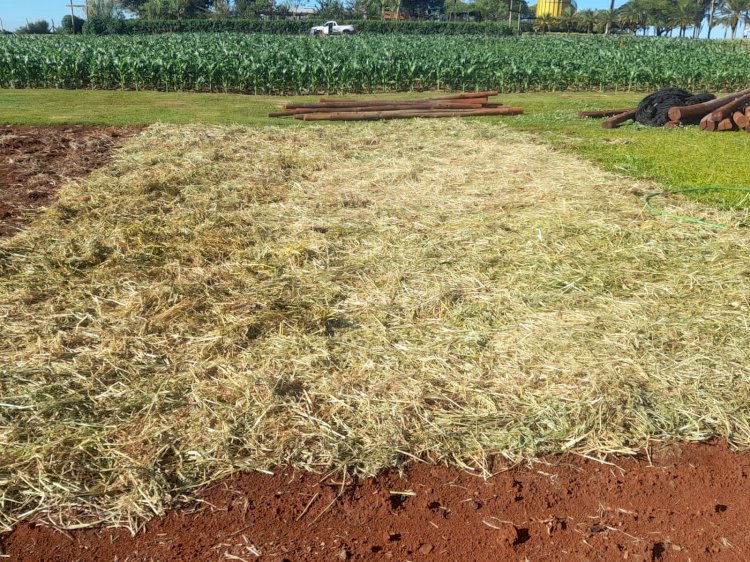 IDR-Paraná discute manejo da umidade do solo em lavouras anuais no Show Rural