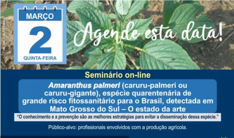 Evento on-line apresentará detalhes de nova planta daninha presente em Mato Grosso do Sul