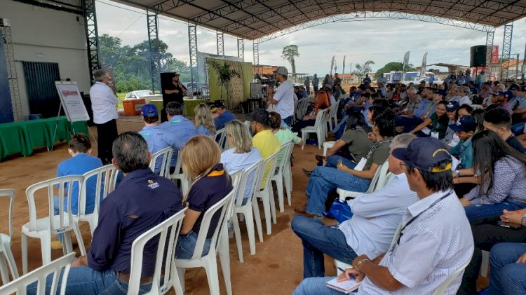 Embrapa disponibiliza palestras de dia de campo sobre ILP em Mato Grosso