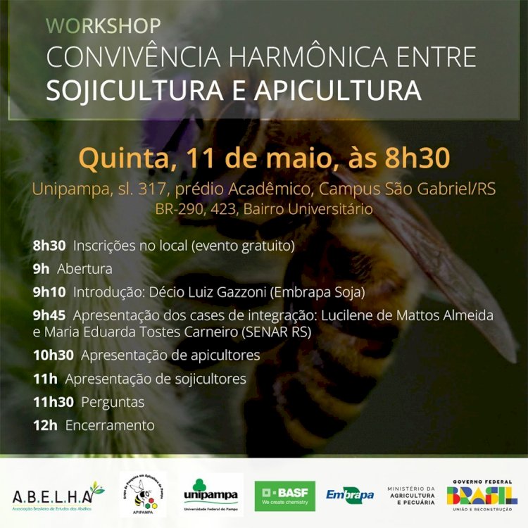 Workshop debate convivência entre apicultura e sojicultora