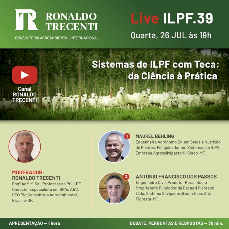 ILPF como o uso da teca é tema de live nesta quarta, 26
