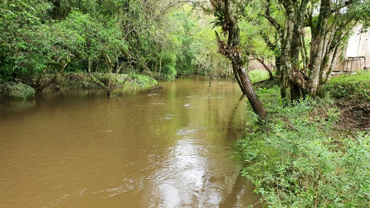 Paraná lança programa para ajudar agricultores a proteger 30 mil nascentes de água até 2026