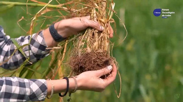 17° Fórum Tecnológico do Leite de Teutônia debate relação entre manejo de solo e aumento da produtividade de silagem de milho