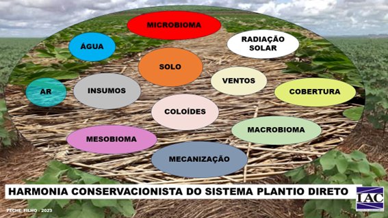 A harmonia conservacionista do Sistema Plantio Direto 