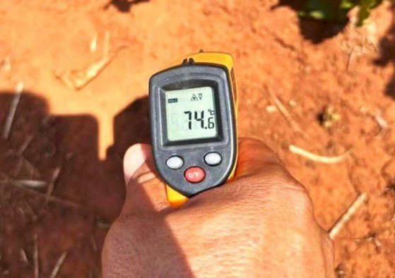 Temperatura do solo como indicador de manejo