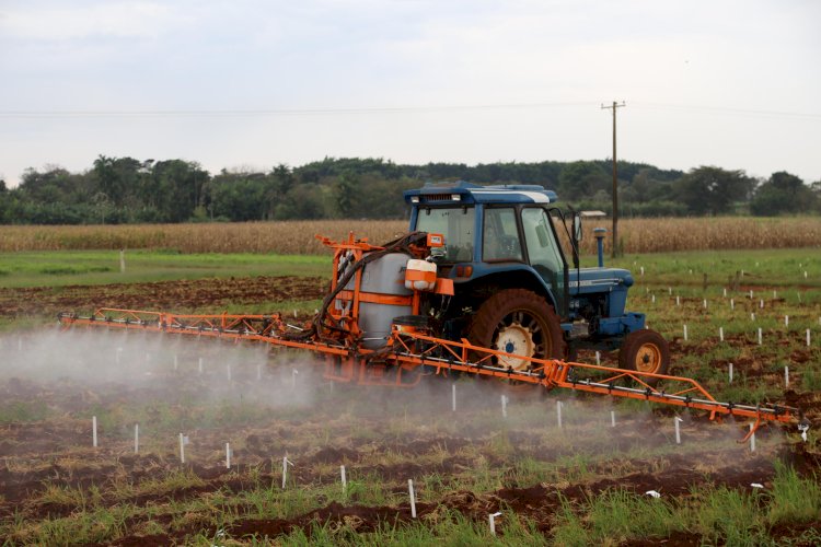 Monitoramento de resíduos de pesticidas em alimentos no Brasil