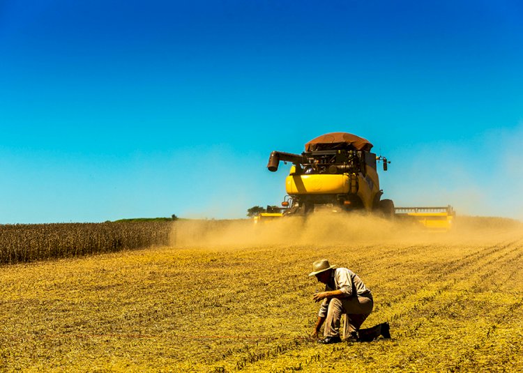 Artigo - A nova métrica da Agricultura
