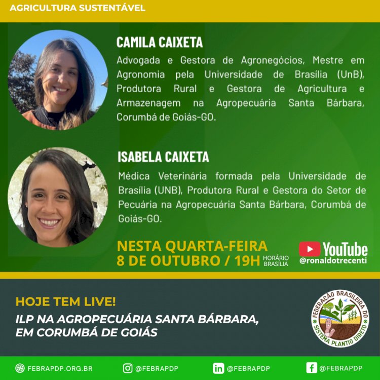 ILP na Agropecuária Santa Bárbara, em Corumbá de Goiás