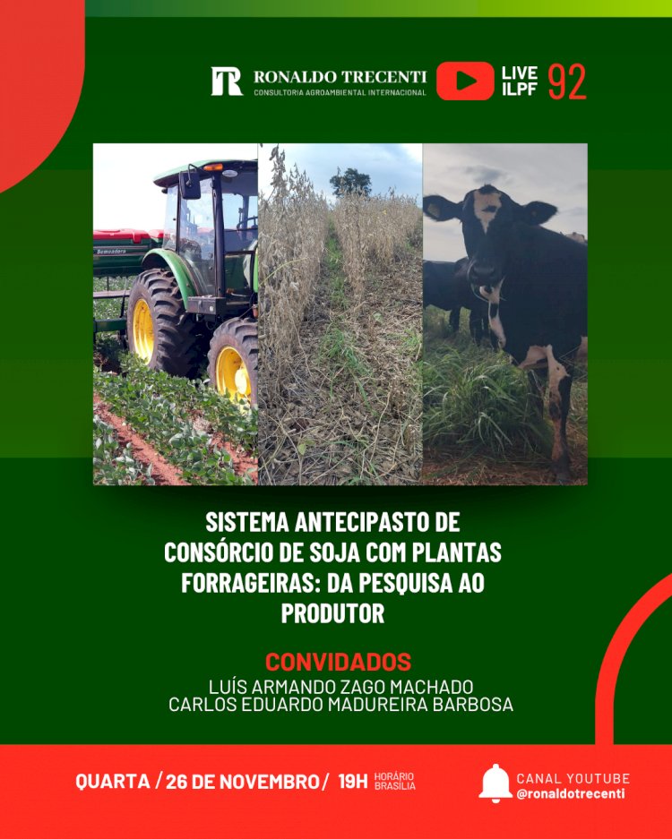 Conheça o Sistema Antecipasto de consórcio de soja com plantas forrageiras